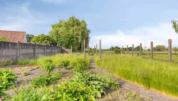 Huis te koop Elsegem renovatieproject