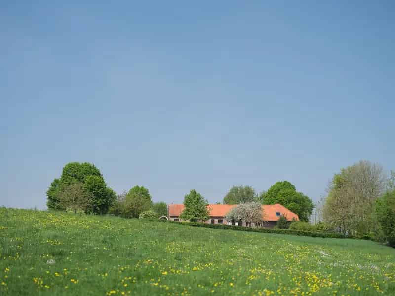Huis te koop: Historische hoeve met moderne luxe en bosrijke omgeving