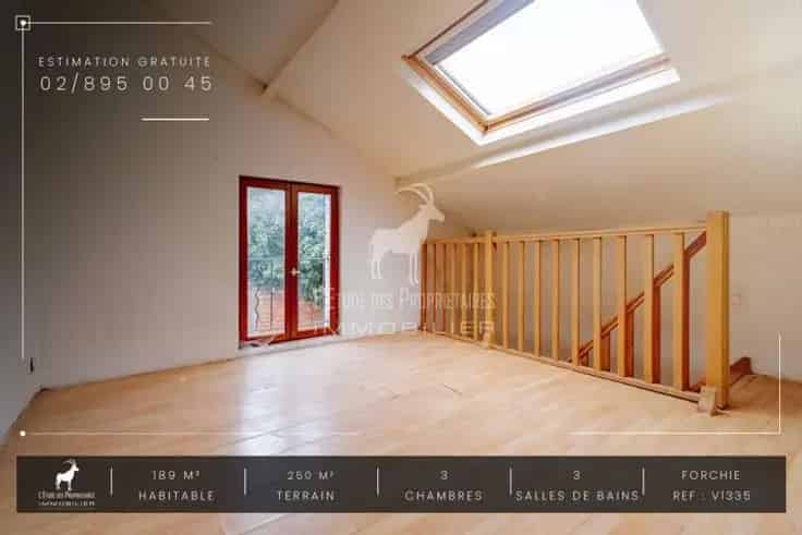 Appartementsblok Forchies-La-Marche Investering 2 Appartementen Tuin