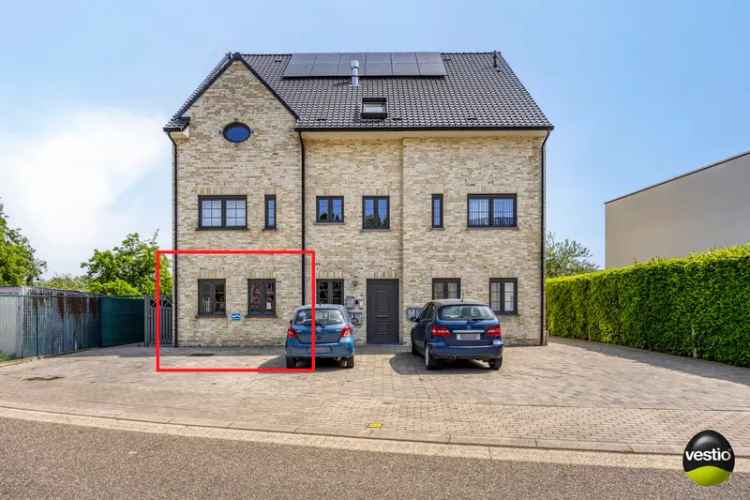 Appartement te koop Hoeselt - Opbrengsteigendom