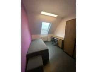 Appartement in medehuur Sint-Gillis - Ruime kamer met eigen badkamer