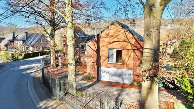 Huis Te Koop Esneux - 3 slaapkamers, appartementen, tuin, zwembad