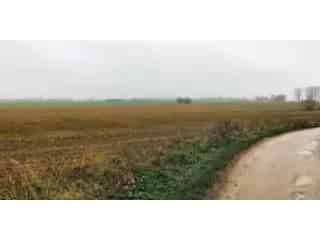 Landbouwgrond te koop Steenkerque 1HA 8A 80CA