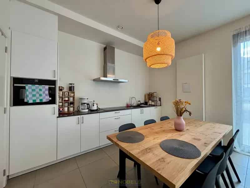 Appartement te huur Oudenaarde Schelde-eiland