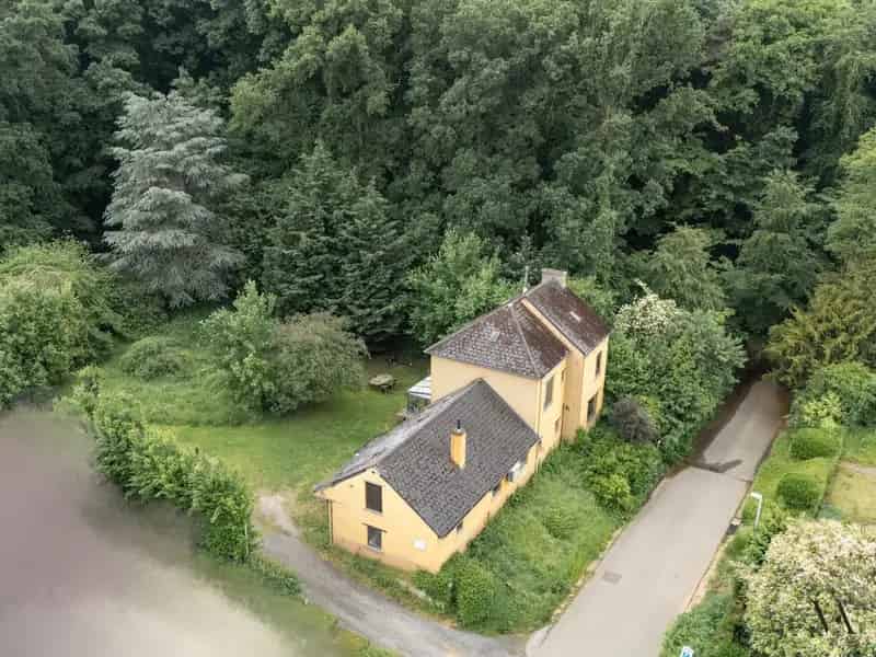 Renovatieproject Hoog Linden