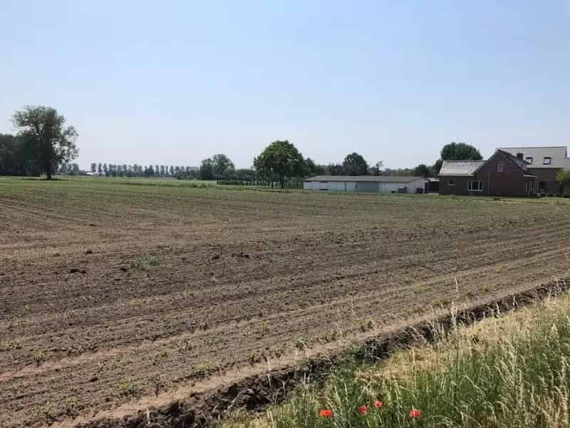 Villaperceel te koop Lokeren Nieuwpoortstraat