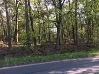 Bosperceel te Koop Minderhout 3 Hectare