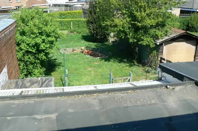 Halfopen Woning te renoveren Ieper Centrum