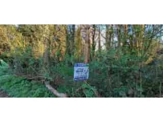 Landbouwgrond te koop Brakel 3180m² Agrarisch Gebied