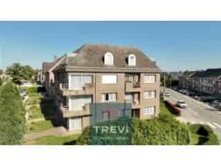 Appartement te koop - Edingen VBD21008