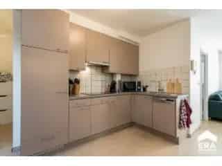 Appartement te Huur Halle Centrum - Instapklaar - EPC B