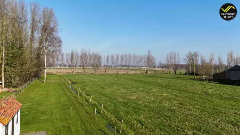 Open Bebouwing Sint-Laureins Uniek Veld Uitzicht