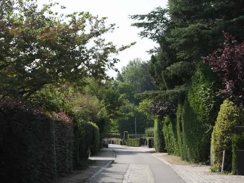 Huis te koop Sint-Martens-Latem: Te renoveren halfopen bebouwing