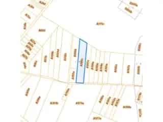 Landbouwgrond te Koop Niel bij Sint Truiden VBD04750