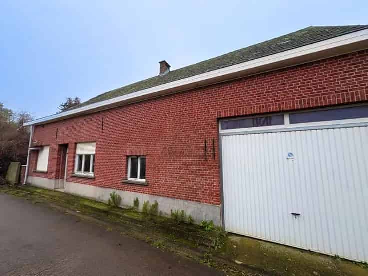 Huis Te Koop Werchter: Te renoveren hoeve