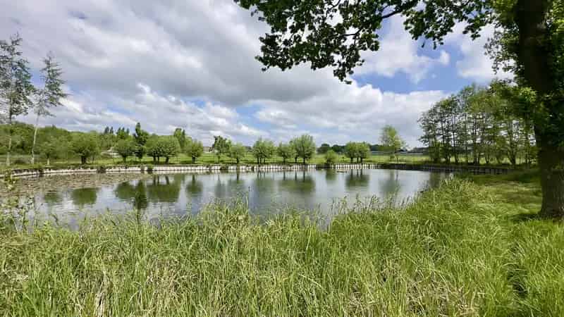 Natuurdomein met 3 Vijvers te Koop