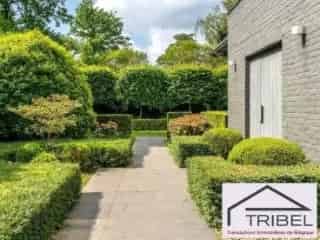 Villa te Koop Ukkel 468m2 5 slaapkamers