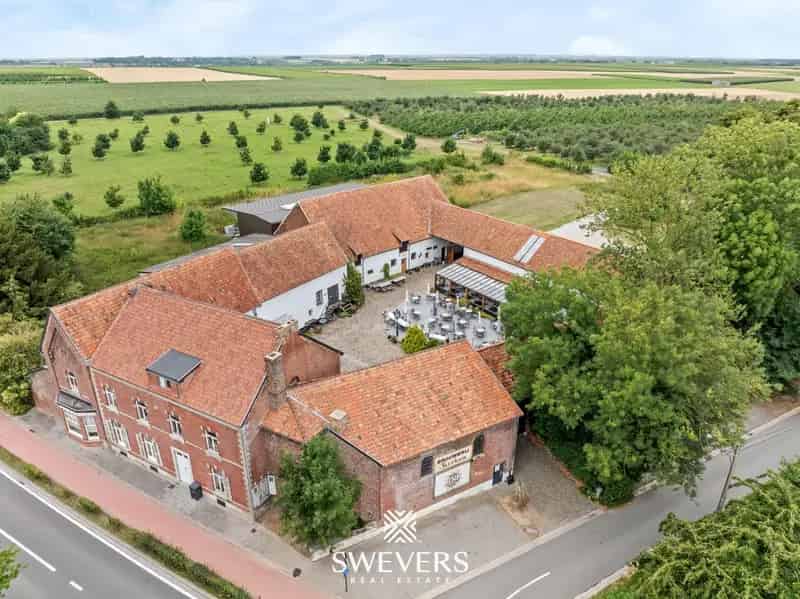 Vierkantshoeve te koop Haspengouw: Gezin, Horeca, B&B of Brouwerij