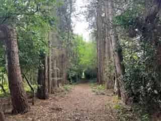 Landbouwgrond te koop Duffel - Natuurlijke oase nabij Fort