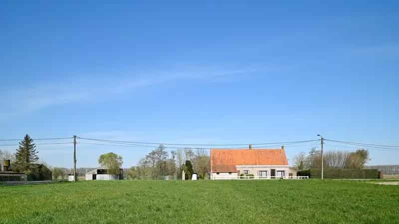 Huis te huur Damme: Te renoveren hofstede met stallen en weiland