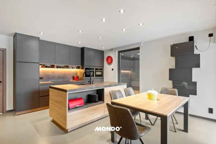 Energiezuinige Villa 6 Slaapkamers Zwembad Domotica Blaasveld