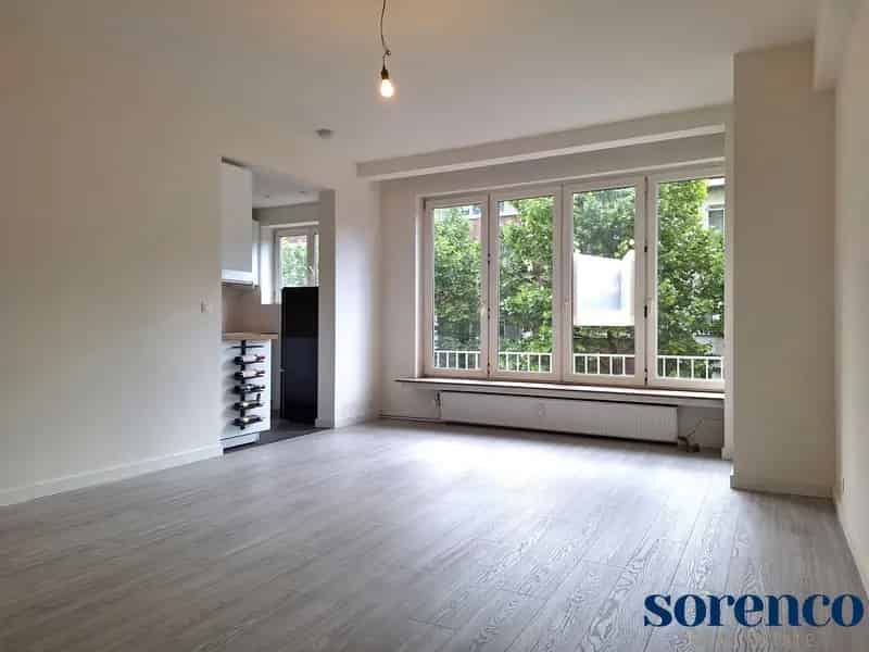 Gerenoveerd 1 slpk appartement Antwerpen Centrum