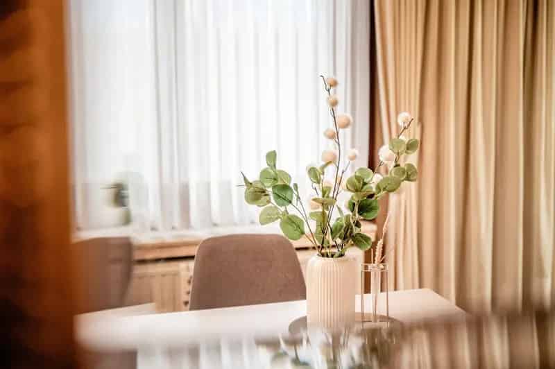 Ruime woning met grote tuin