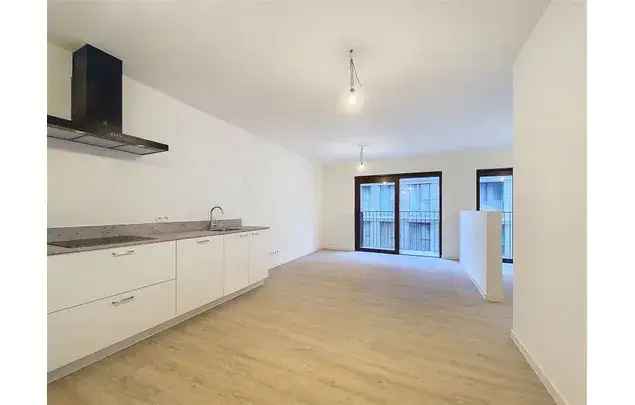 Huur 1 slaapkamer appartement van 55 m² in Antwerp