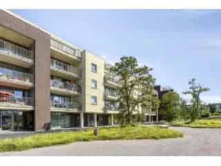 Handelspand te koop - Aalter RBU13064