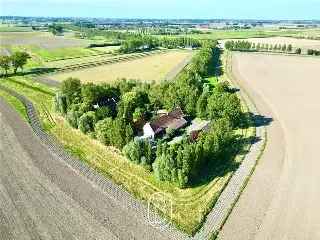 Boerderij - hoeve te koop - Ramskapelle RBS19557