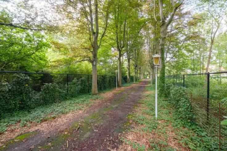 Villa Voshollei te koop: Renovatieproject met potentieel