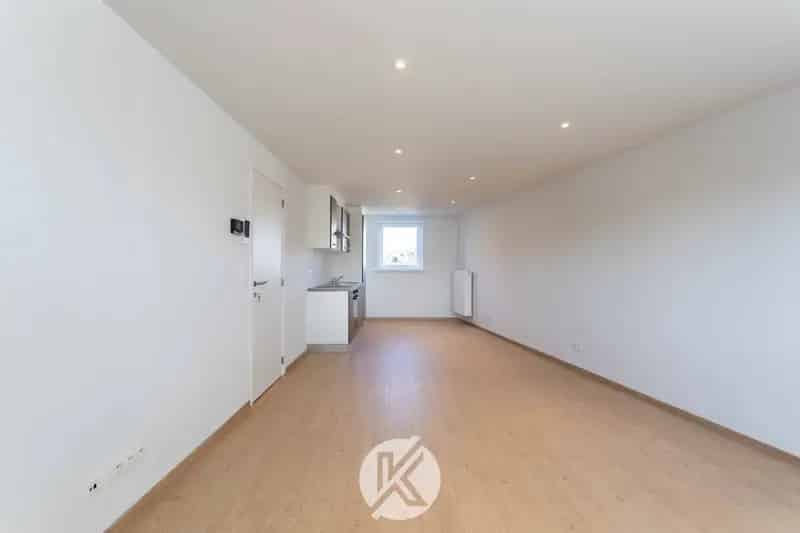 Duplexappartement te Huur Woubrechtegem