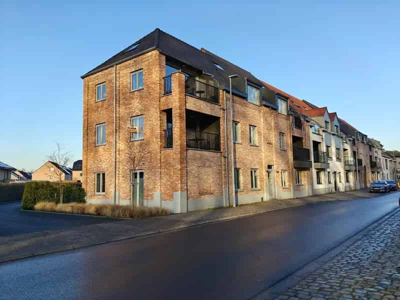 Appartement te Huur Berlare