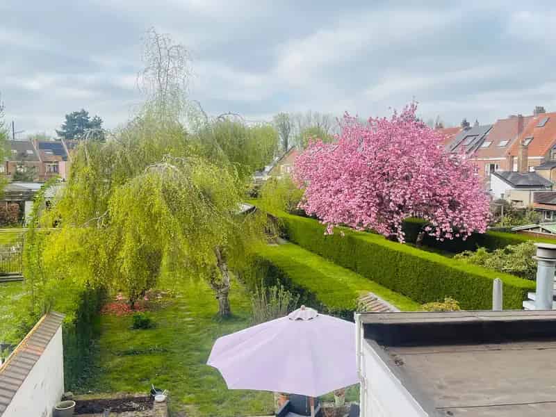 Huis te huur Sint-Pieters - Energiezuinig met grote tuin