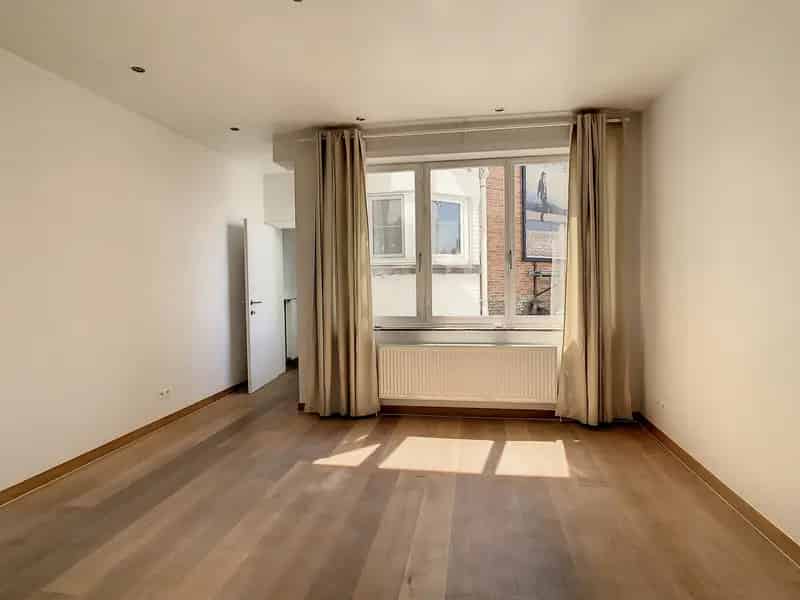 Gerenoveerd 1 Slaapkamer Appartement Leuven Centrum