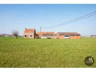 Boerderij - hoeve te koop - Maldegem RBU11691