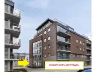 Gelijkvloersappartement te koop Ninove