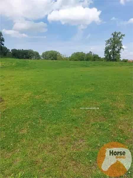 Recreatiegrond te koop Tongeren - Weide 15 ha met schuilstal