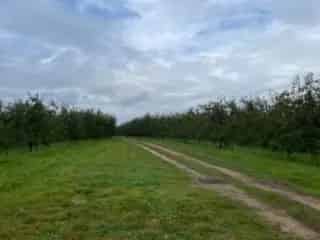 Landbouwgrond te Koop Loksbergen