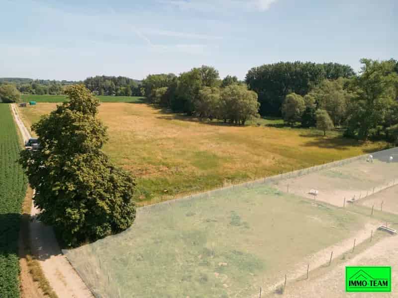 27ha Weide met Schuilstallen Paardenliefhebbers