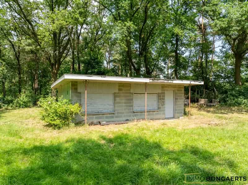 Natuurgrond met Vakantiewoning te Koop Gruitrode