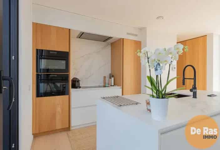 Penthouse te Koop Erondegem
