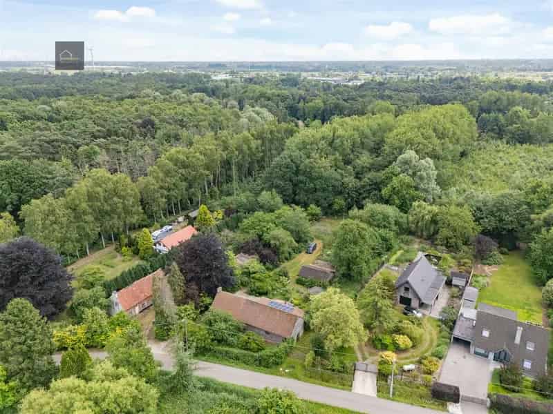 Alleenstaande villa te Stekene - 8000m² bosrijk domein