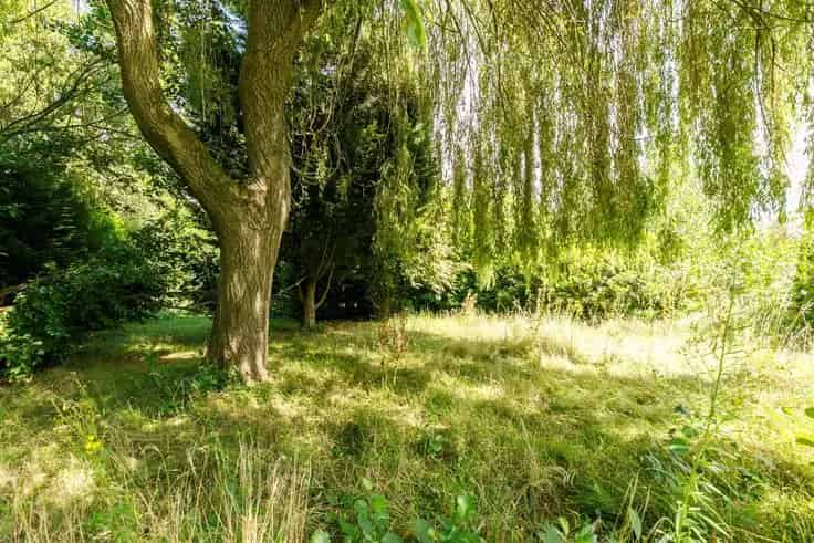 Vakantiewoning Te Koop Aan Het Water