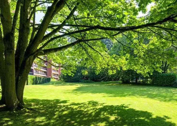 Te koop appartement in Uccle met 3 slaapkamers en 2 badkamers