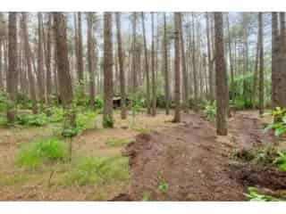 Chalet te koop Gierle - Bosgrond 2607m²