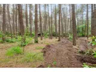 Chalet te koop Gierle - Bosgrond 2607m²