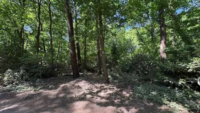Bouwgrond te Koop Essen Wildert Heidelaan