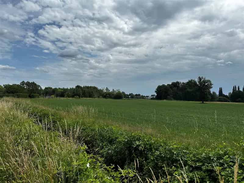Grond te koop Paal 7800m²