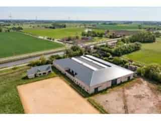 Paardencomplex te koop - 70 boxen - Binnen en buitenpiste